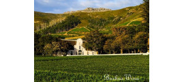 Groot Constantia wina RPA