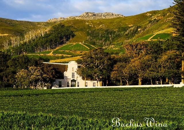 Groot Constantia wina RPA