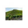 Montioni wina Umbria
