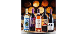 Scotto Cellars Family Wines Lodi