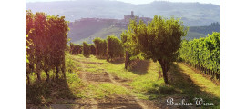 Poderi Gianni Gagliardo Piemont
