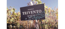 Trivento Bodega Argentyna