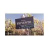 Trivento Bodega Argentyna