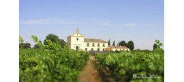 Marques de Grinon Bodega