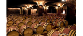 Vinedos Marchigue Santa Alexandra Chile