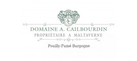 Domaine Alain Cailbourdin Pouilly-Fumé Burgogne