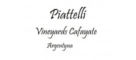Piattelli Vineyards Cafayate Argentyna