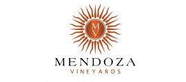 Mendoza Vineyards Luján de Cuyo
