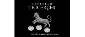 Castello Tricerchi Brunello Montalcino Toscana