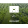 Cielo e Terra Vicenza Włochy