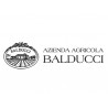 Azienda Agricola Balducci Włochy