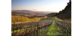 Delheim Wines wina RPA