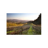 Delheim Wines wina RPA