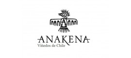 Anakena Vinedos de Chile