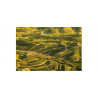 Pisano Bodegas Urugwaj