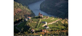 La Pesquera Winery