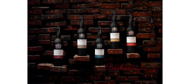 Taylor's Porto Douro Portugalia
