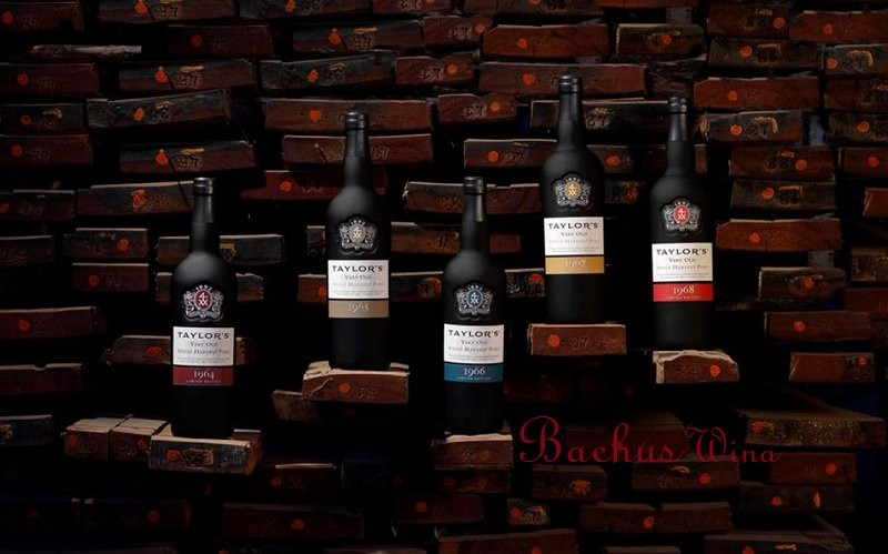 Taylor's Porto Douro Portugalia