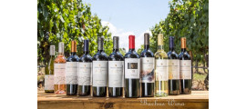 Finca El Origen Mendoza