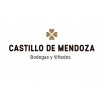 Castillo de Mendoza - Hiszpania