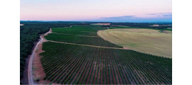 ProdoRey Ribera del Duero