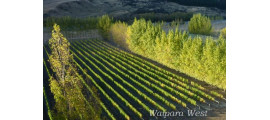 Waipara West New Zealand