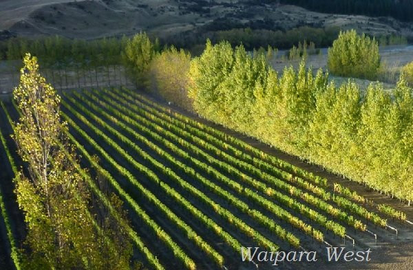 Waipara West New Zealand