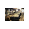 Glenlivet Whisky Speyside