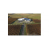 Sileni Estates