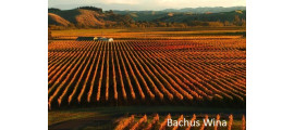 Gimblett Gravels Hawke's Bay