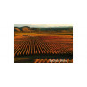 Gimblett Gravels Hawke's Bay