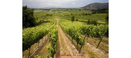 Ochagavia Wines