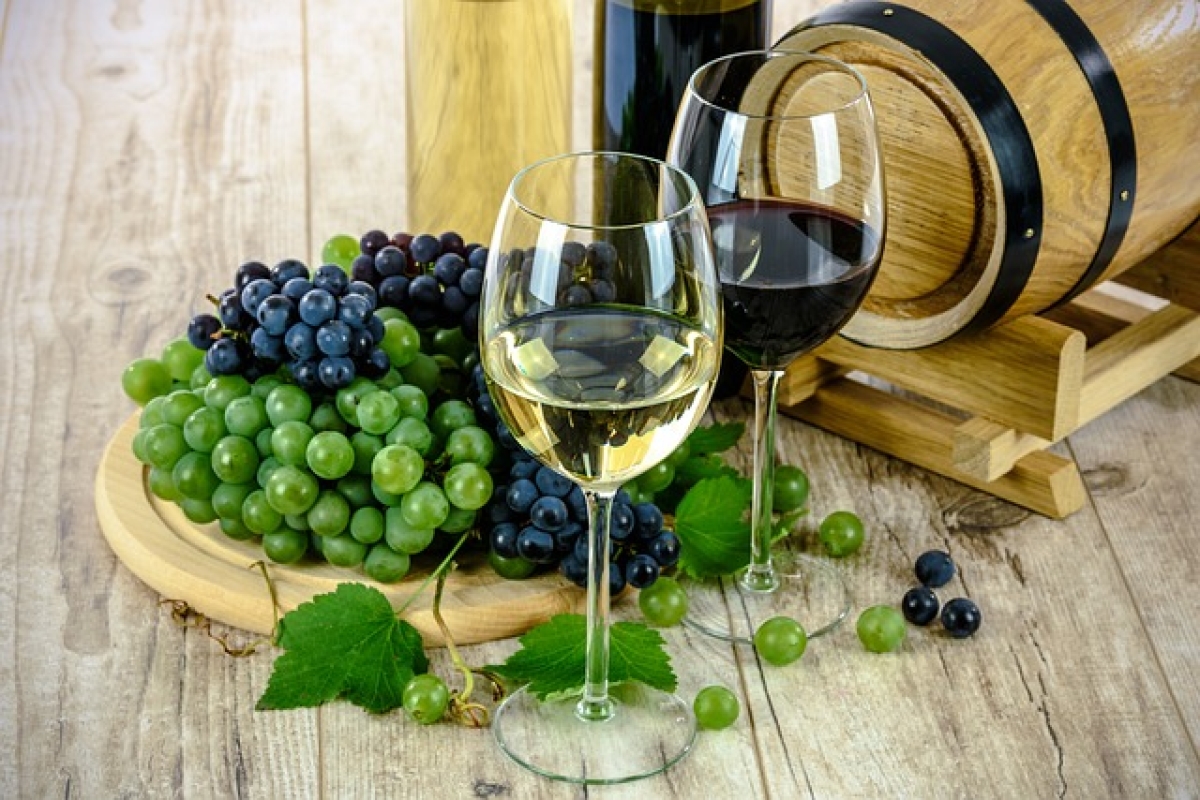 Wino Fragolino – cena, charakterystyka, pochodzenie, smak